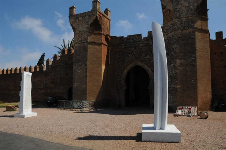 Toffoletti pursues the works of Dante and immortalizes his memory