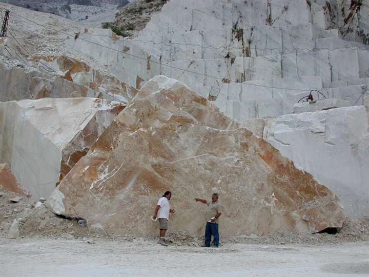 Toffoletti pursues the works of Dante and immortalizes his memory