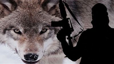 Lone Wolves: Terrorist