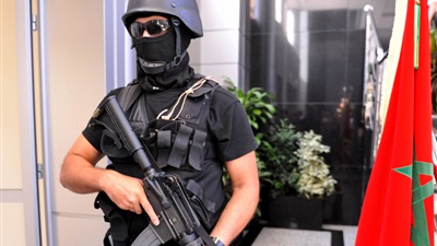 'Organized terrorism