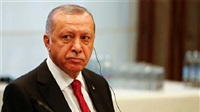 Erdogan and his weird