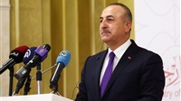 Cavusoglu's statements: