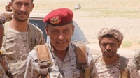 Amin al-Waeli: Veteran