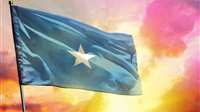 Somalia's toxic political