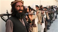 7 killed in Taliban