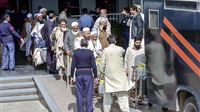 Pakistan frees 524