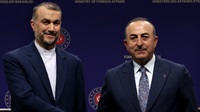 Iran welcomes steps