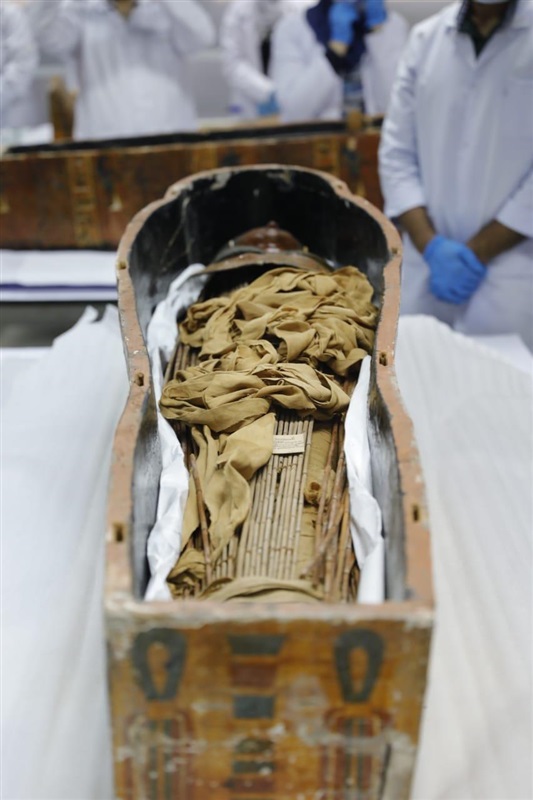 The Tale of Sen-Nedjem and Setet-Aset: The Complete Tomb of the Chief Artisan