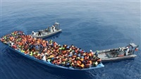 Illegal migration: