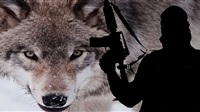 Lone Wolves: Terrorist