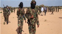New Somali militia