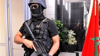 'Organized terrorism