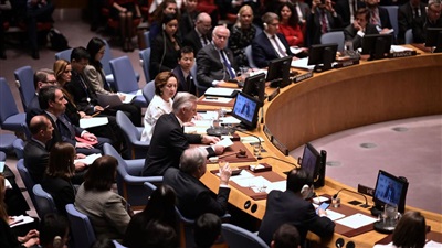 UN Security Council