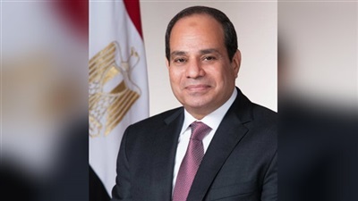 Egypt tackles terrorism