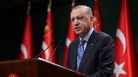 Turkey’s middle classes