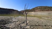Conflict and Climate