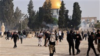 More than 20 injured