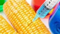 More gene-edited