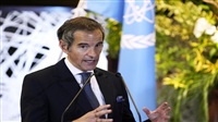 UN nuclear watchdog