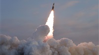 North Korea Fires