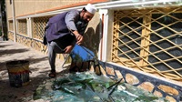 Several Killed in