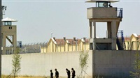 Deported gangland