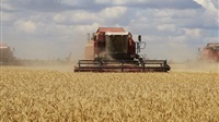 Ukraine grain shipments