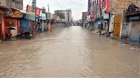 Waterborne diseases