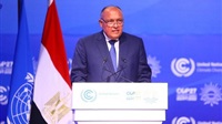 Cop27 president announces