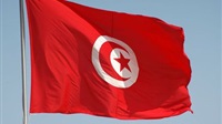 Tunisia's Brotherhood