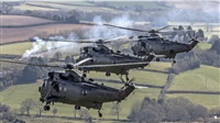 Britain to send Sea