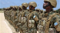 Somalia's efforts