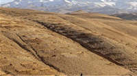 Afghan fields come