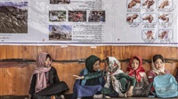 Defy Taliban dogma