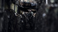 Russian Shelling