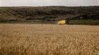 Russia’s War on Ukraine