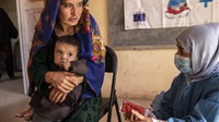 Afghan rulers urged