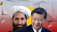 Will Chinese-Afghan