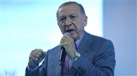Erdogan restricts